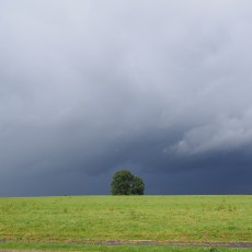 Maandag 14 september: België, Frankrijk