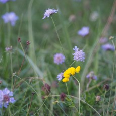 Dinsdag 15 september: weerzien