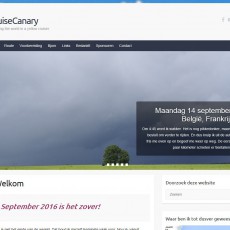 CruiseCanary.com online!