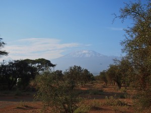 PC298659 - Mount Kilimanjaro