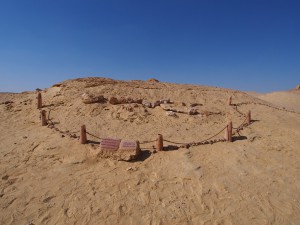 PA173749 - Wadi el-Hettan