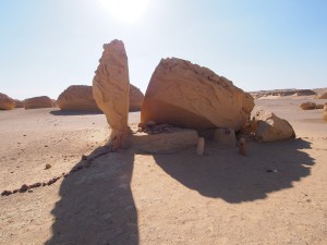 PA173793 - Wadi el-Hettan