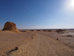 PA173816 - Wadi el-Hettan