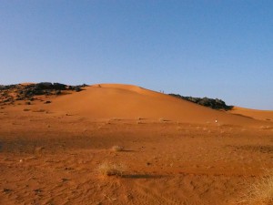PB025058 - Desert camp bij Meroë