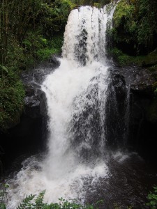 PB297525 - Waterval Rira rivier in Bale Mountains NP