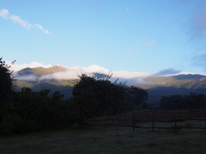 PB307544 - Bale Mountains NP