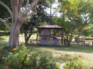 P1180568 - Tentenflat in botanische tuinen Entebbe