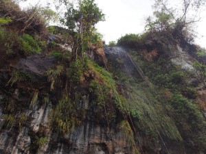 P1210750 - Tweede waterval Sipi Falls