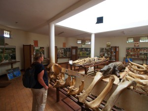 P1301657 - Museum Entebbe dierentuin