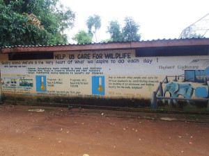 P1301808 - Entebbe dierentuin