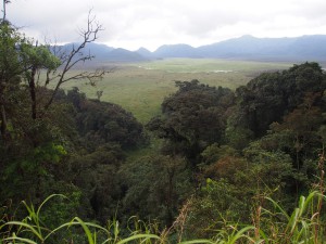 P2142523 - Uitzicht Nyungwe Forest NP