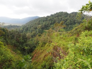 P2142529 - Uitzicht Nyungwe Forest NP