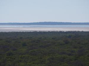P5189148 - Uitzicht over Sua Pan, richting Kubu Island
