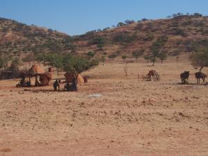 P6171951 - Himba dorpje onderweg door Kaokoveld