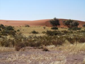 IMG 0990 - Zandduin onderweg naar grens met Zuid Afrika