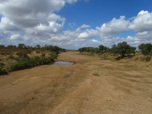 IMG 2561 - Droge rivier Kruger NP