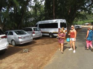 IMG 3490 - De dames en een vervetaap bij Cape Vidal
