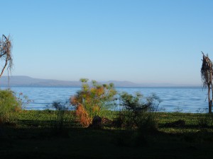 P1039251 - Naivasha meer