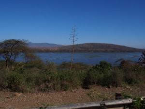 P1049441 - Naivasha meer