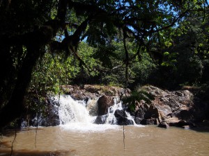 P1069604 - Isiukhu waterval Kakamega Forest NR