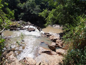 P1069608 - Isiukhu waterval Kakamega Forest NR