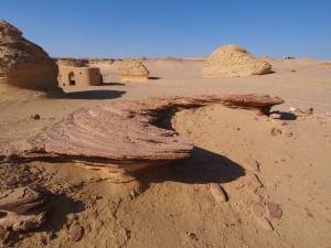 PA173800 - Wadi el-Hettan