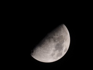 PB085384 - Maan in Sudan