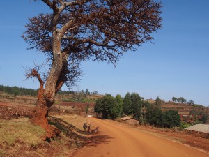 P1099704 - Eerste indrukken Uganda