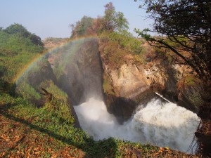 P1281639 - Waterval Murchison Falls NP