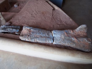 P3023514 - Fossiele botten Malawisaurus Karonga Museum