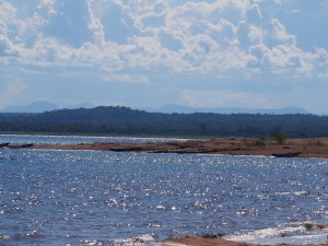 P4146199 - Kariba meer