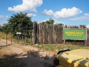 P4196674 - Ngonye waterval park