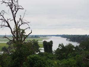P4246905 - Chobe rivier Chobe NP
