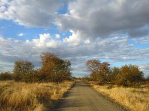 IMG 2641 - Kruger NP