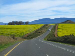 IMG 3614 - Onderweg naar Kaapstad